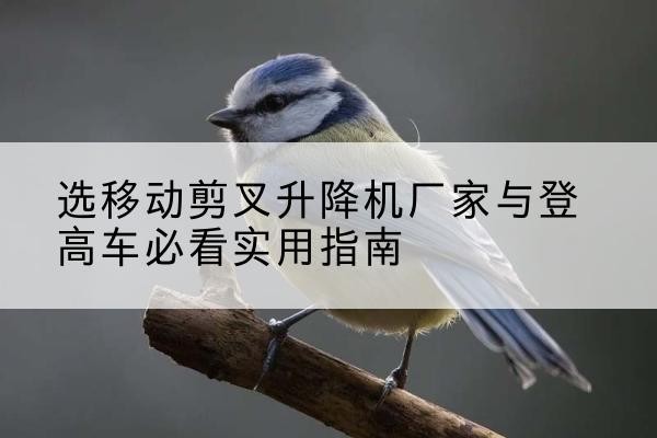 岳麓电动升降机厂家-选移动剪叉升降机厂家与登高车必看实用指南