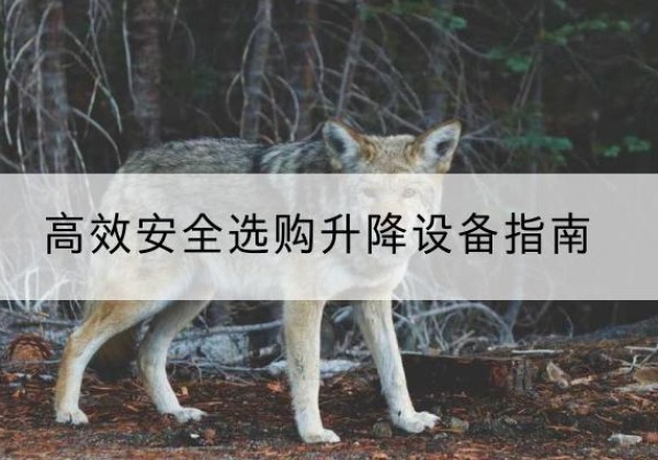 岳麓升降货梯厂家推荐-*安全选购升降设备指南