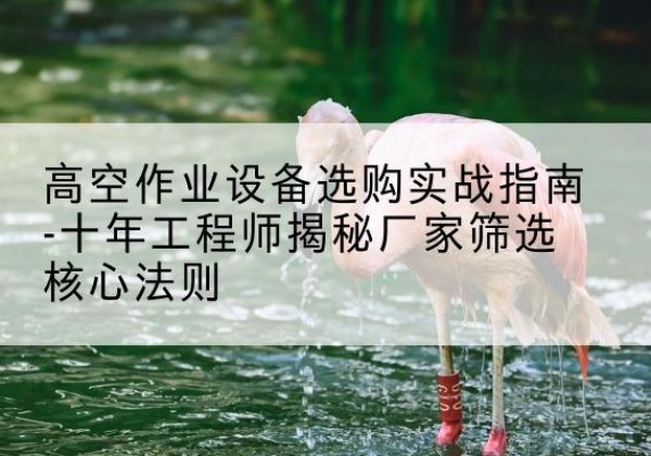 岳麓剪叉式升降机厂家-高空作业设备选购实战指南-十年工程师揭秘厂家筛选核心法则